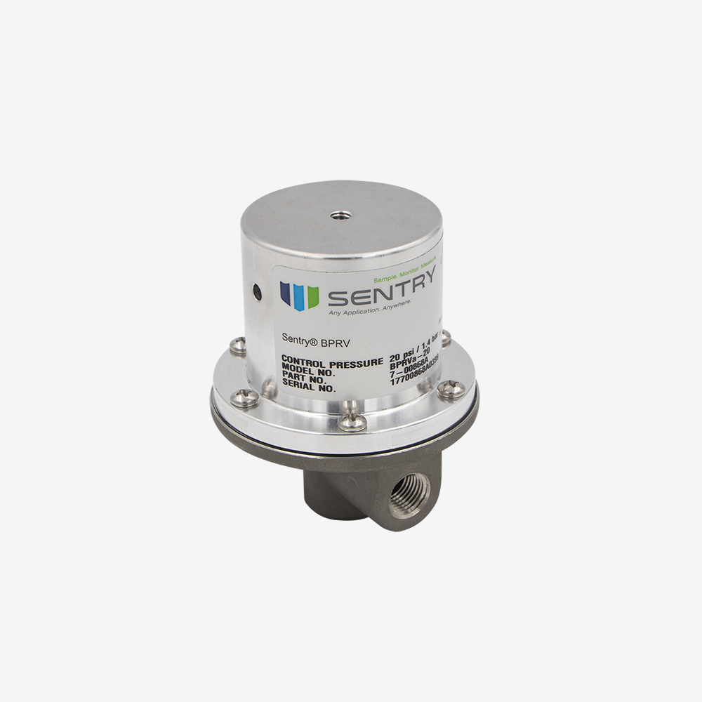 Back Pressure Relief Valve