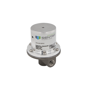 Image of Back Pressure Relief Valve (BPRV)